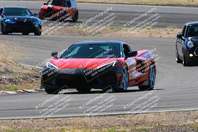 media/Apr-06-2025-Extreme Speed (Sun) [[ad1499d5ff]]/Blue group/Turn 3/